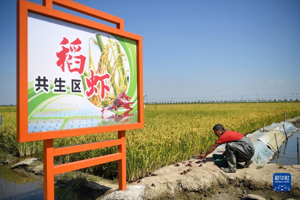 跳槽金优惠活动