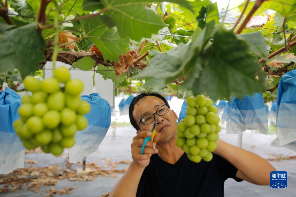 其乐老虎机官网平台